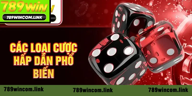 Các loại cược phổ biến hấp dẫn Các loại cược phổ biến hấp dẫn